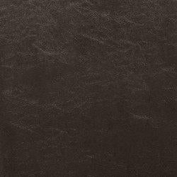 Kimonte Dining Chair - House n2 Home Furniture (Manchester,GA)