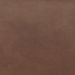 Status Check Recliner - House n2 Home Furniture (Manchester,GA)