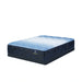 Classic Brecon 13.5" Medium Mattress -Queen