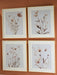 Chettings Wall Art (Set of 4) - House n2 Home Furniture (Manchester,GA)