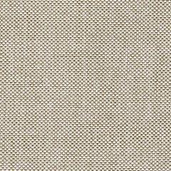 Coastline Bay Outdoor Loveseat with Cushion - House n2 Home Furniture (Manchester,GA)