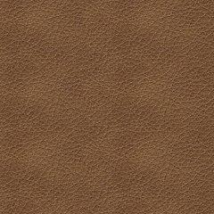 Bolsena Sofa Sleeper - House n2 Home Furniture (Manchester,GA)