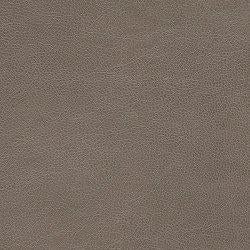 Fyne-Dyme Power Recliner - House n2 Home Furniture (Manchester,GA)