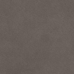 Darcy Loveseat - House n2 Home Furniture (Manchester,GA)