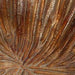 Gabbievale Bowl - House n2 Home Furniture (Manchester,GA)