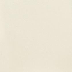 Kimonte Dining Chair - House n2 Home Furniture (Manchester,GA)