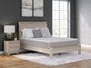 Terra Sleep Medium Mattress - House n2 Home Furniture (Manchester,GA)