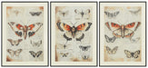 Jossletts Wall Art (Set of 3) - House n2 Home Furniture (Manchester,GA)