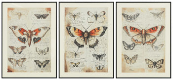 Jossletts Wall Art (Set of 3) - House n2 Home Furniture (Manchester,GA)