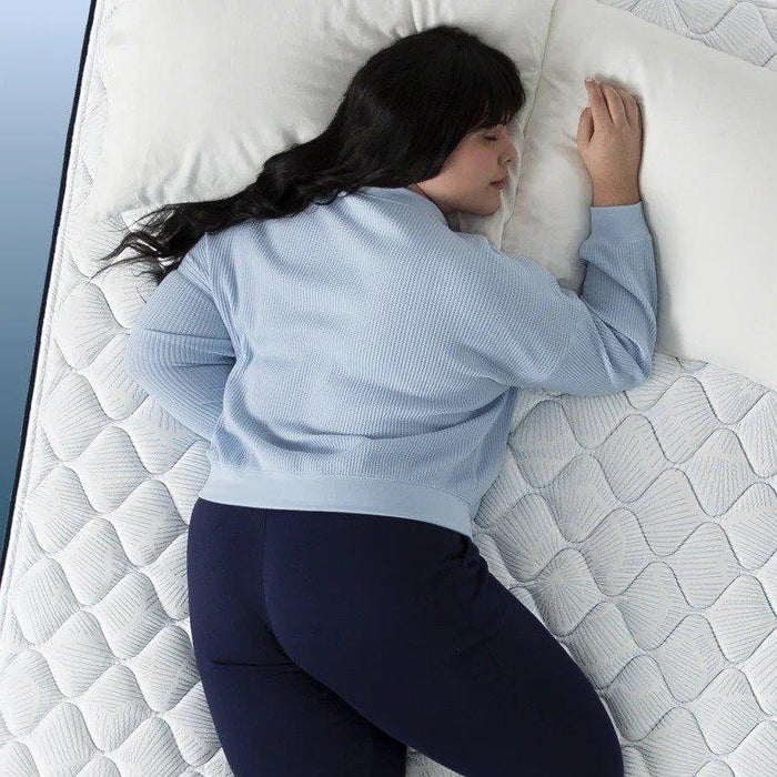 Serta Perfect Sleeper Innerspring Mattress Adoring Night Plush Euro Top - Twin XL image