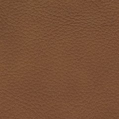 Magic Man 5-Piece Power Reclining Sectional - House n2 Home Furniture (Manchester,GA)